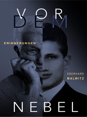 cover image of Vor dem Nebel